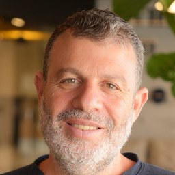 זיו שיינפלד